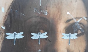 20151014_131102